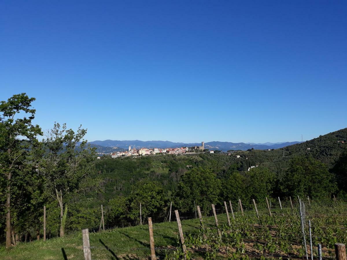 Bed and Breakfast Alchimista Bb Borgo Marciano Castelnuovo Magra Exteriér fotografie